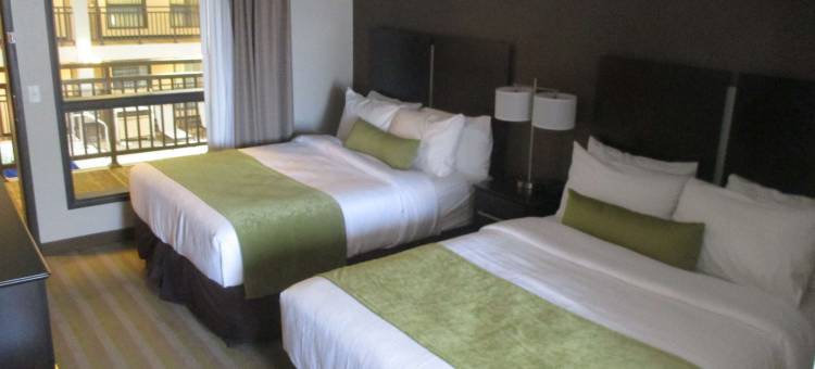 丰收贝斯特韦斯特酒店(Best Western Harvest Inn  Suites)图片