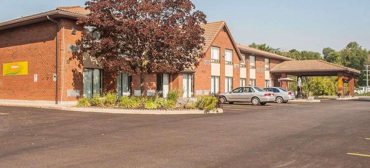 舒适酒店(Comfort Inn)图片