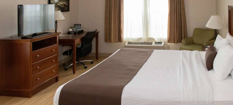 I-5贝斯特韦斯特优质酒店(Best Western I-5 Inn  Suites)图片