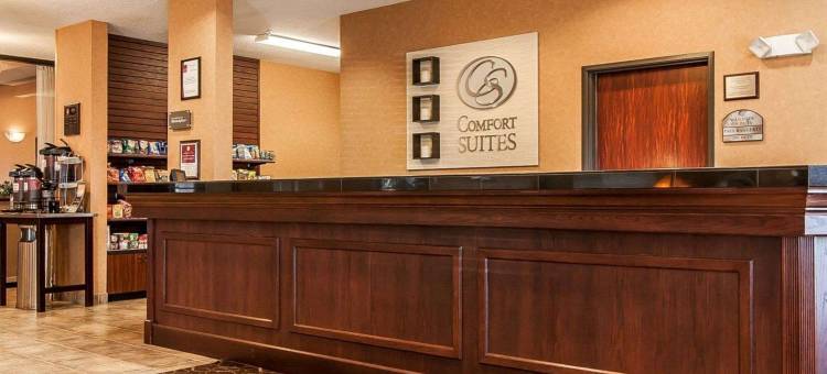 雷德蒙德机场舒适套房酒店(Comfort Suites Redmond Airport)图片