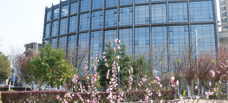 鄱阳怡家艺术酒店图片