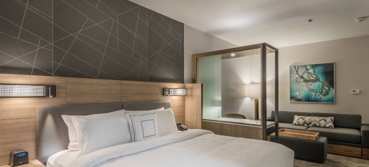 达拉斯罗克沃尔SpringHill Suites酒店(SpringHill Suites Dallas Rockwall)图片
