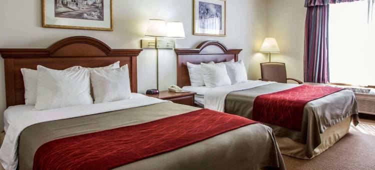 日内瓦西芝加哥舒适套房酒店(Comfort Inn & Suites Geneva- West Chicago)图片