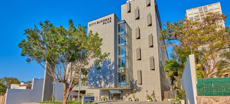 普罗维登西亚瓜达拉哈拉万豪城市快捷酒店(City Express Plus by Marriott Guadalajara Providencia)图片