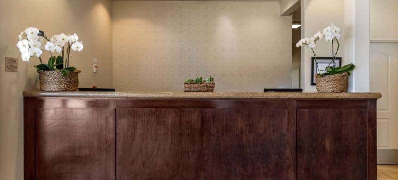 皇家橡树贝斯特韦斯特优质酒店(Best Western Plus Royal Oak Hotel)图片