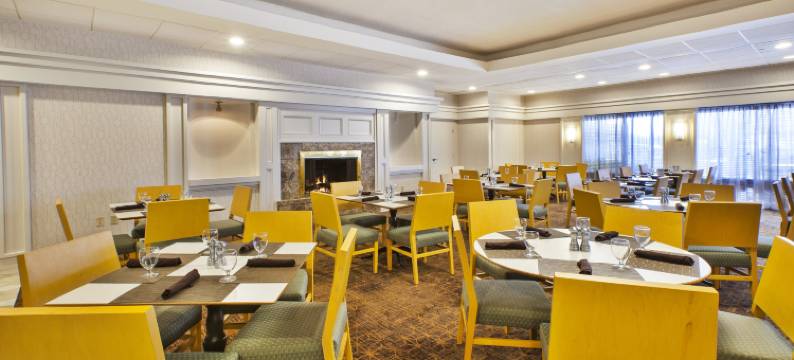 华盛顿·杜勒斯机场假日酒店(Holiday Inn WASHINGTON-DULLES INTL AIRPORT by IHG)图片