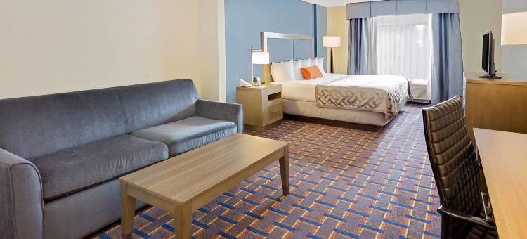 阿灵顿高地舒适套房酒店-绍姆堡(Comfort Inn & Suites Arlington Heights - Schaumburg)图片