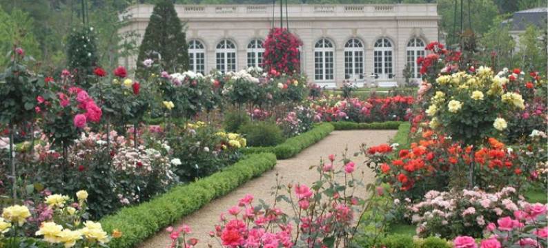 城崎雷尼莎酒店(lenessa jougasaki)图片