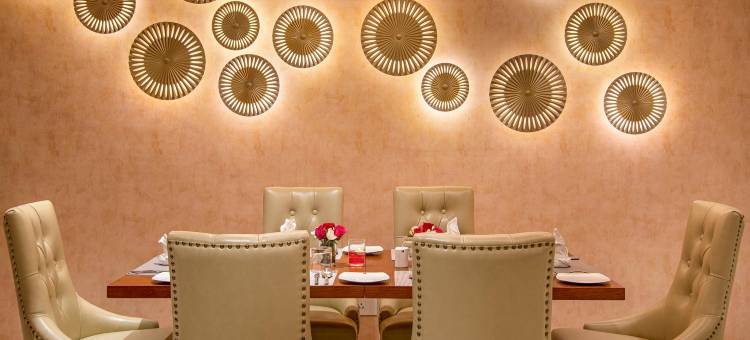 艾哈迈达巴德SK 贵族生态酒店(SK Lords Inn Ahmedabad)图片