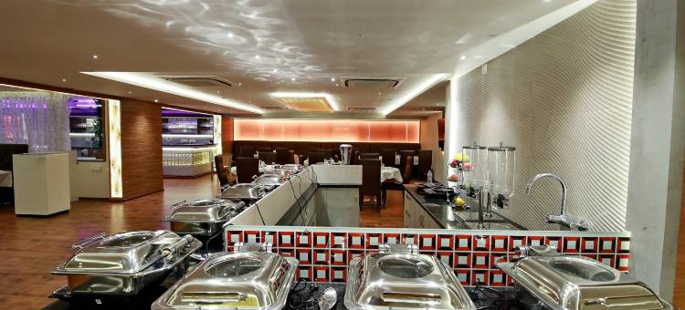 达文盖雷南星酒店(Southern Star,Davangere)图片