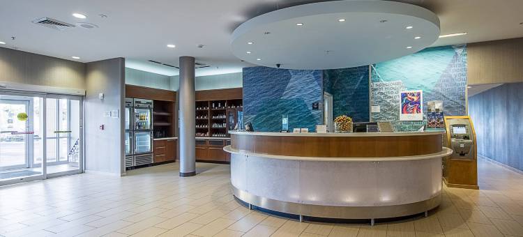 坦帕北/坦帕棕榈万豪SpringHill酒店(SpringHill Suites Tampa North/I-75 Tampa Palms)图片