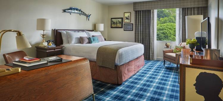 希尔顿研究生夏洛茨维尔(Graduate by Hilton Charlottesville)图片