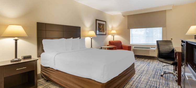 维塞利亚贝斯特韦斯特酒店(Best Western Visalia Hotel)图片