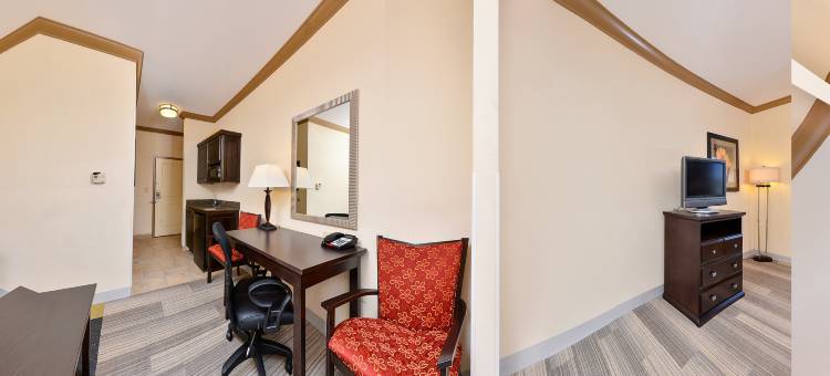 智选假日套房酒店达拉斯的南 - 迪索托(Holiday Inn Express & Suites Dallas South - Desoto)图片