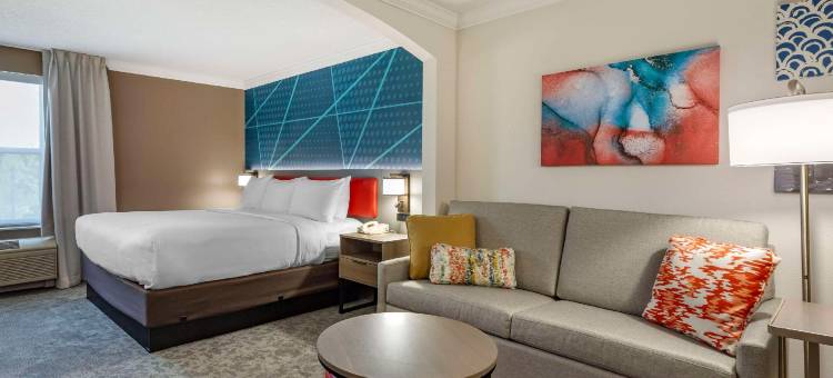 舒适酒店套房(Comfort Inn & Suites)图片