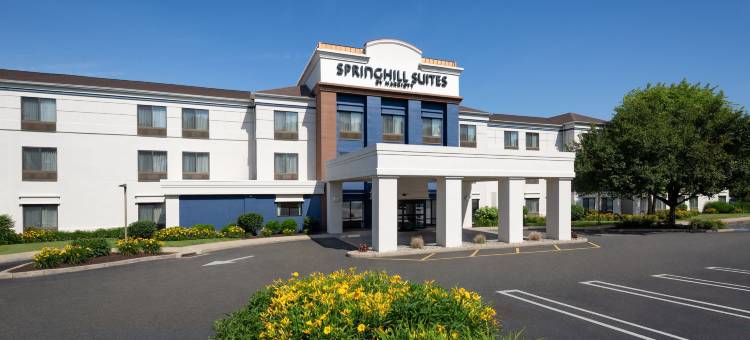 米尔福德万豪SpringHill酒店(SpringHill Suites Milford)图片