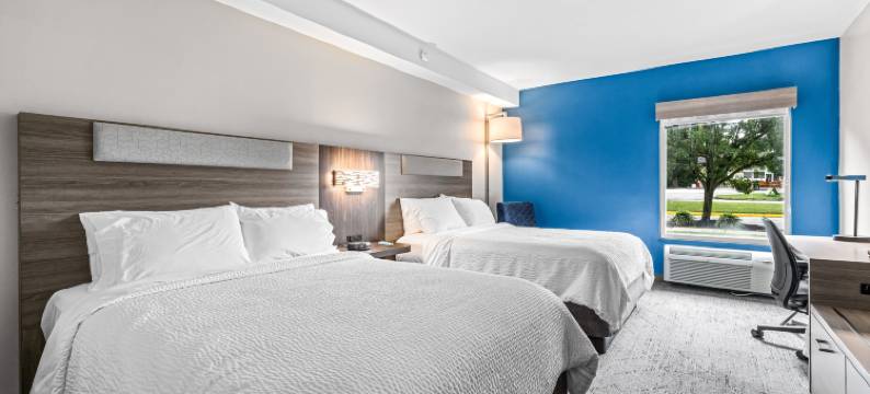 卡尼斯波安特-彭斯维尔洲际智选假日套房酒店(Holiday Inn Express & Suites CARNEYS POINT - PENNSVILLE by IHG)图片