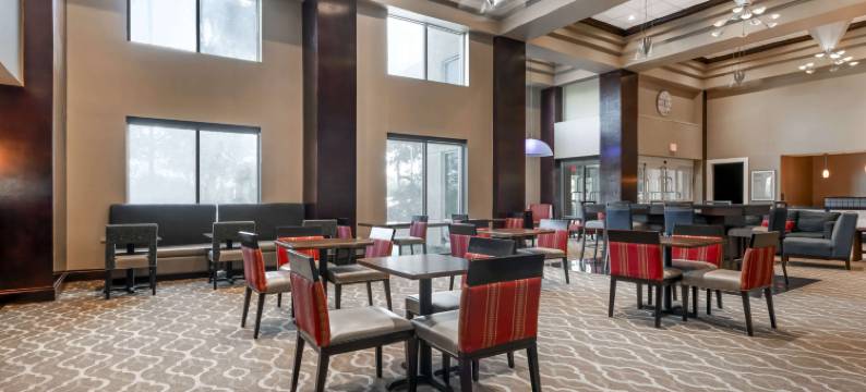 塔瓦雷斯北舒适套房酒店(Comfort Inn & Suites Tavares North)图片