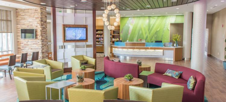 萨姆特万豪SpringHill酒店(SpringHill Suites Sumter)图片
