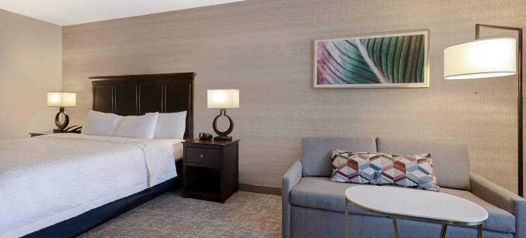 希尔顿欢朋套房酒店-圣路易欧比斯波(Hampton Inn & Suites San Luis Obispo)图片