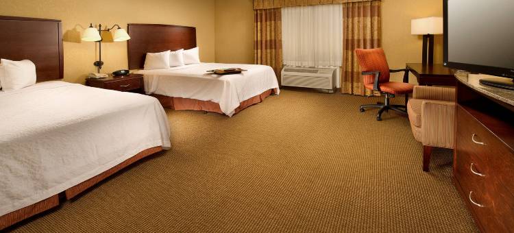 圣安东尼奥机场欢朋套房酒店(Hampton Inn & Suites San Antonio-Airport)图片