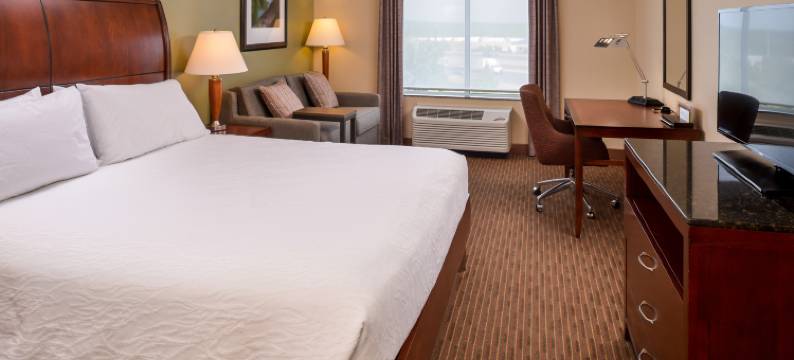 巴尔的摩白色沼泽希尔顿花园酒店(Hilton Garden Inn Baltimore/White Marsh)图片