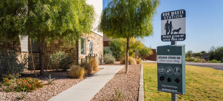 我家酒店-亚利桑那州凤凰城西七叶树(My Place Hotel-Phoenix West/Buckeye, AZ)图片