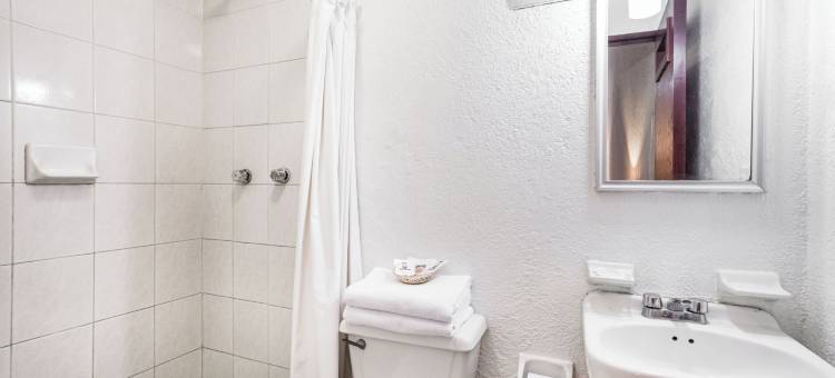 Capital O 埃尔尼托旅馆(Capital O El Nito Posada)图片