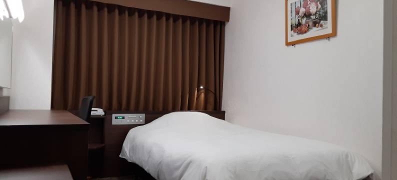 松江Alpha-1酒店(Hotel Alpha-One Matsue)图片