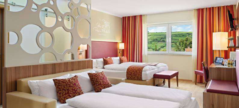 阿塞汉姆普法索酒店(Pfalzhotel Asselheim)图片