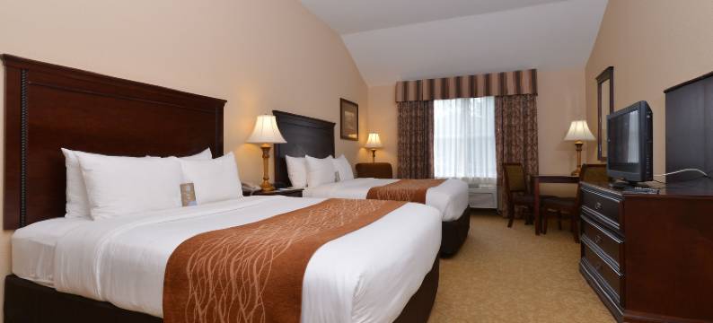 麦克明维尔酒乡舒适套房酒店(Comfort Inn & Suites McMinnville Wine Country)图片