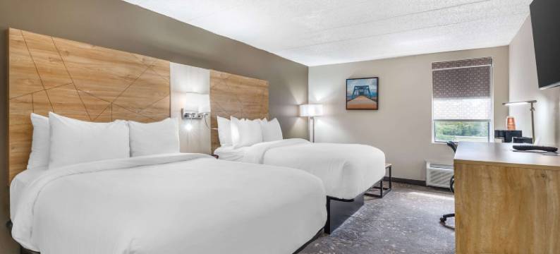 东里奇查塔努加舒适套房酒店(Comfort Inn & Suites Chattanooga-East Ridge)图片