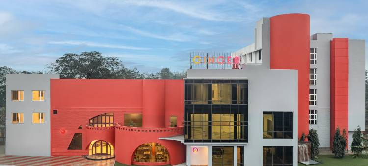 Ginger Durgapur姜(Ginger Durgapur)图片