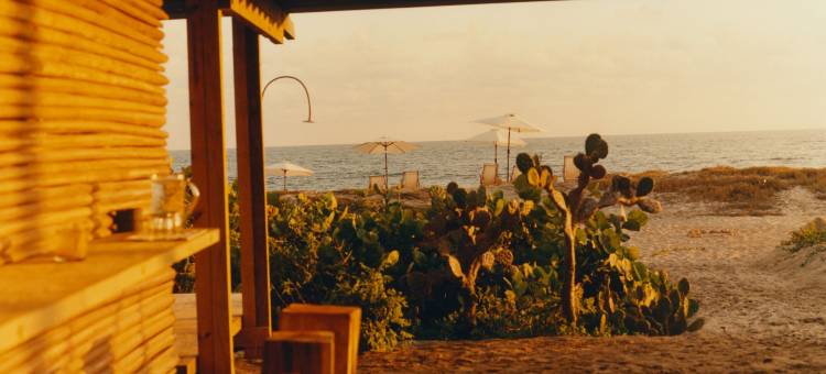 土地，设计酒店的成员(Terrestre, a Member of Design Hotels)图片