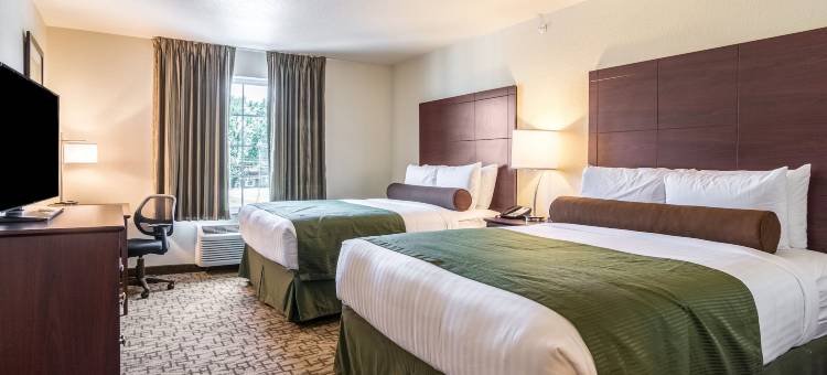 鹅卵石酒店及套房 - 格林维尔(Cobblestone Hotel & Suites - Greenville)图片