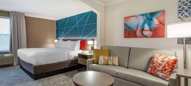 舒适酒店套房(Comfort Inn & Suites)图片