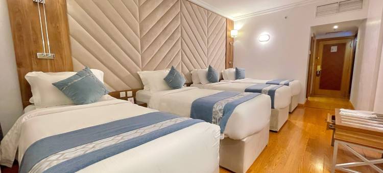 麗兹阿尔马地纳酒店(Al Ritz Al Madinah)图片