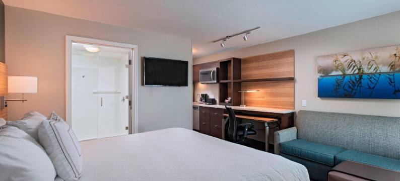 莱克兰TownePlace套房酒店(TownePlace Suites Lakeland)图片