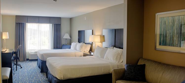 黎巴嫩智选假日套房酒店(Holiday Inn Express & Suites Lebanon)图片