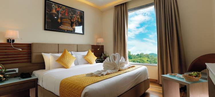 大翔酒店(Hotel Dolphin Grand)图片