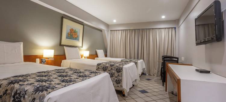 蓝树塔里约波蒂酒店(Blue Tree Towers Rio Poty)图片