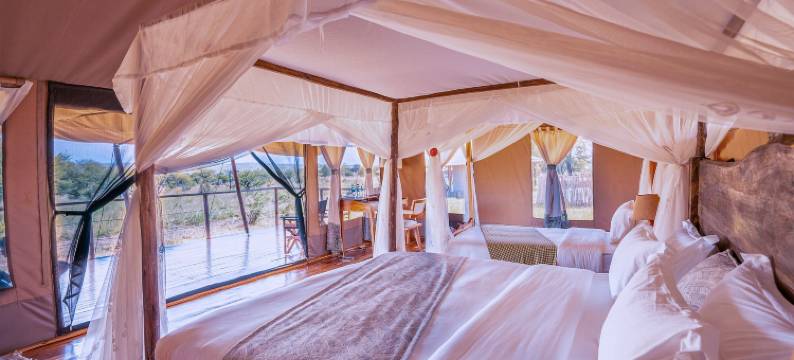 Malaika豪华营地 Seronera Serengeti(Malaika Luxury Camp Seronera Serengeti)图片