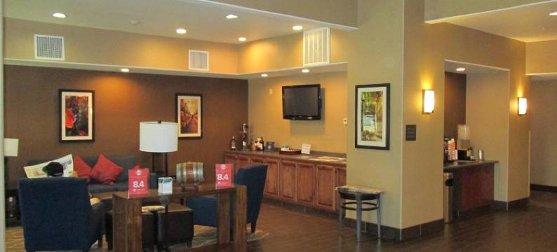 戈尔特-北洛迪舒适酒店(Comfort Inn & Suites Galt - Lodi North)图片