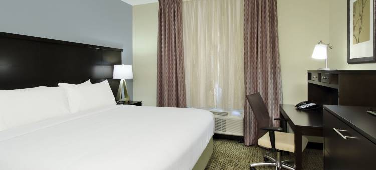 Staybridge Suites 休斯顿 by IHG(Staybridge Suites HOUSTON - MEDICAL CENTER by IHG)图片