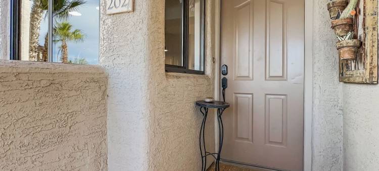 仙人掌 #202 喷泉山(Saguaro #202 Fountain Hills)图片