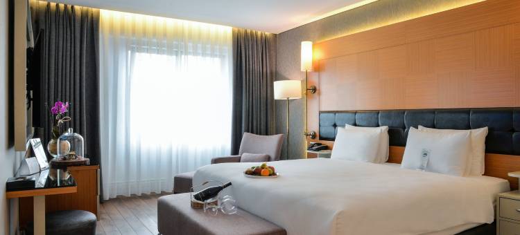 伊斯坦布尔戈南酒店(Istanbul Gonen Hotel)图片