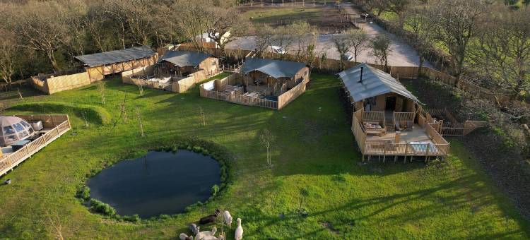 丛林书萨法利帐篷(Jungle Book Safari Tent)图片