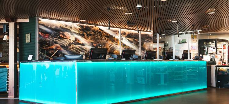 塞马假日俱乐部酒店(Holiday Club Saimaan Rauha)图片