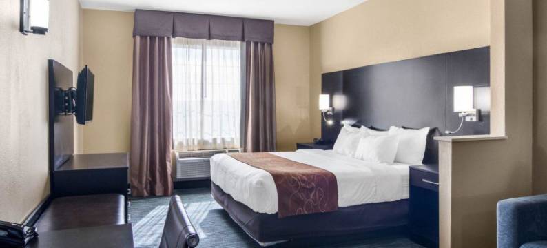 舒适套房酒店(Comfort Suites)图片