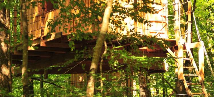 福乐托太空小屋酒店(Cabanes de l'Espace Fouletot)图片